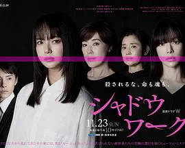【日本剧】影子工作
